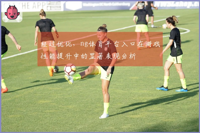 经过优化，ng体育平台入口在游戏性能提升中的显著表现分析
