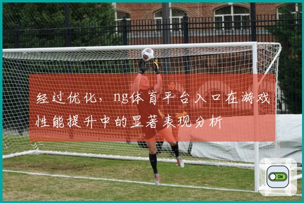 经过优化，ng体育平台入口在游戏性能提升中的显著表现分析